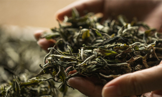 中国白茶行业发展概况、市场现状及未来发展前景2024