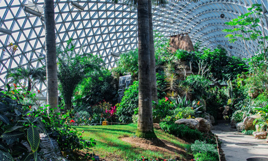 植物园行业商业模式分析及未来市场竞争风险2024