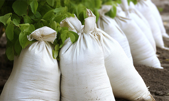 微量元素肥料行业市场需求及未来趋势展望2024