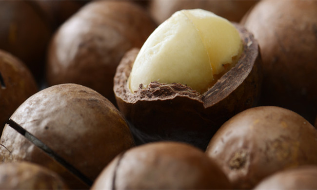 夏威夷果行业市场供需及发展前景分析2024