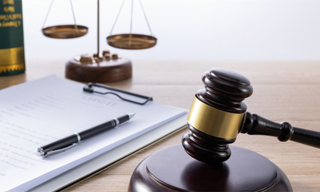 中国智慧法院行业发展环境及未来市场投资价值评估2024